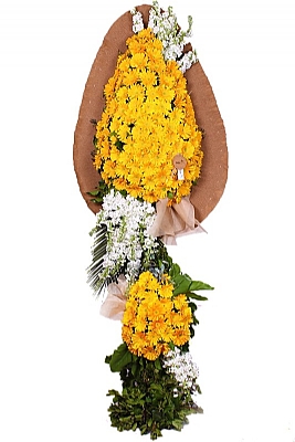 D���n �elengi-17