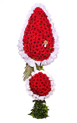 D���n �elengi-22