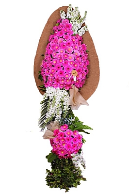 D���n �elengi-18