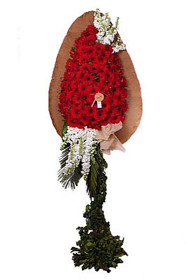 D���n �elengi-20