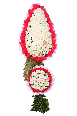 D���n �elengi-22