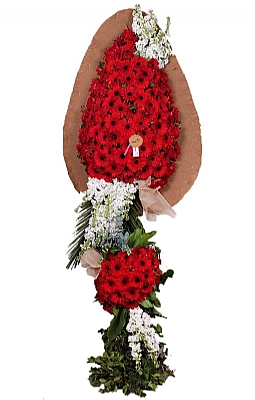 D���n �elengi-19